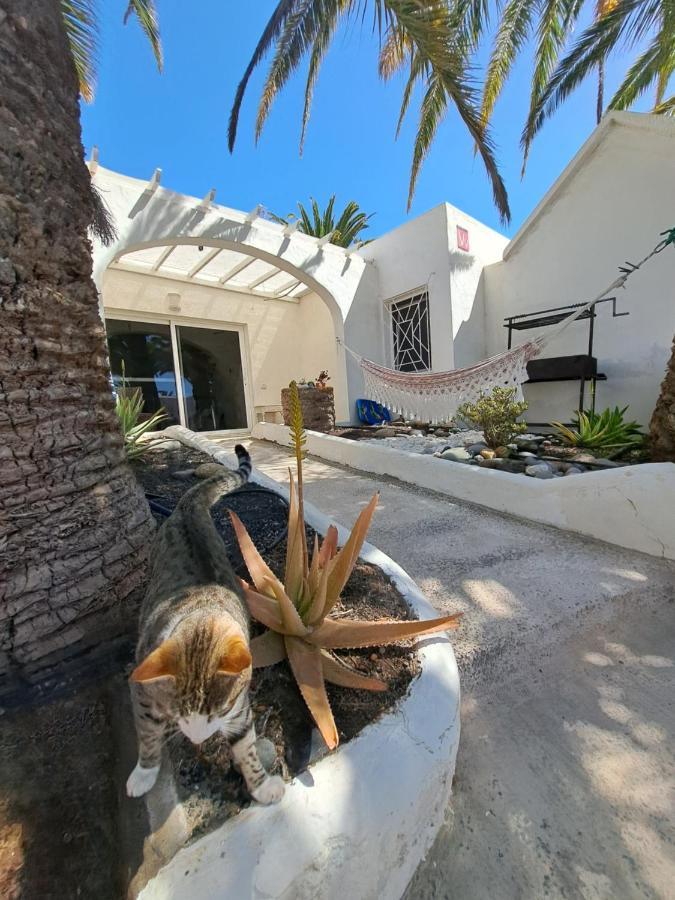 Palm Point Appartement Costa Calma Buitenkant foto